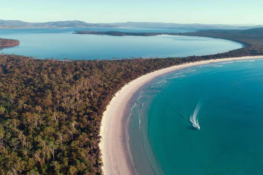From Triabunna: Maria Island Cruise & Guided Walk with Lunch - The wildlife is wild, not staged
