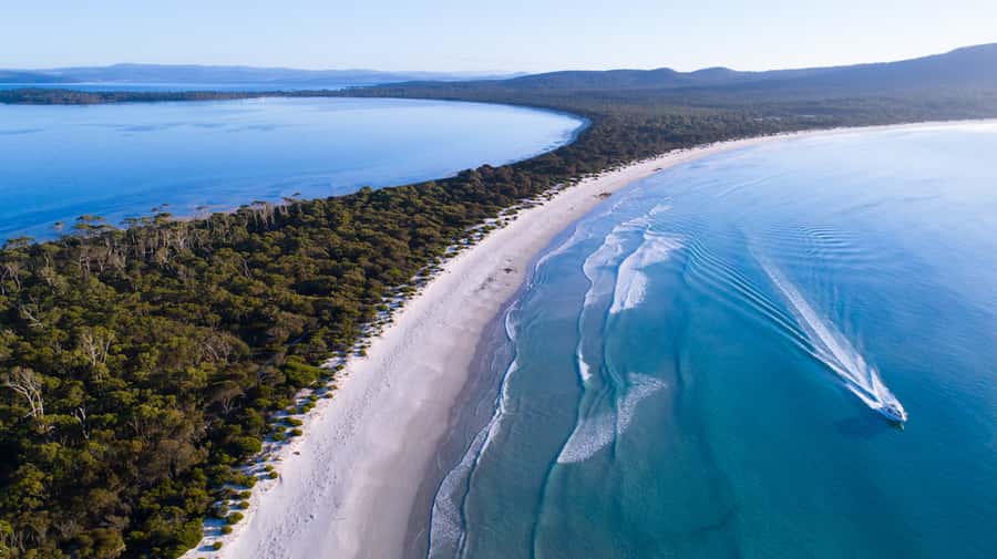 From Triabunna: Maria Island Cruise & Guided Walk with Lunch - Should you book it?
