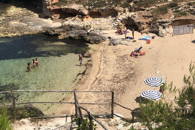 Full Day Tour by Car and Walking among the Apulian Beauties - What the driver does, and what you do