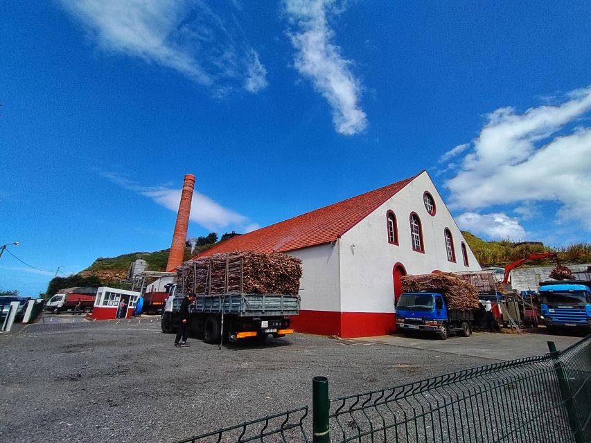 Funchal: East Madeira Island Guided Tour & Laurissilva Walk - Ponta do Rosto, the eastern finish