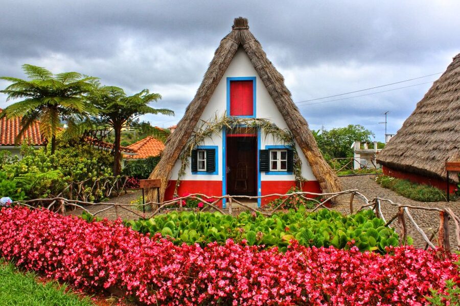 Funchal: East Madeira Island Guided Tour & Laurissilva Walk - What the $35 price really gives you