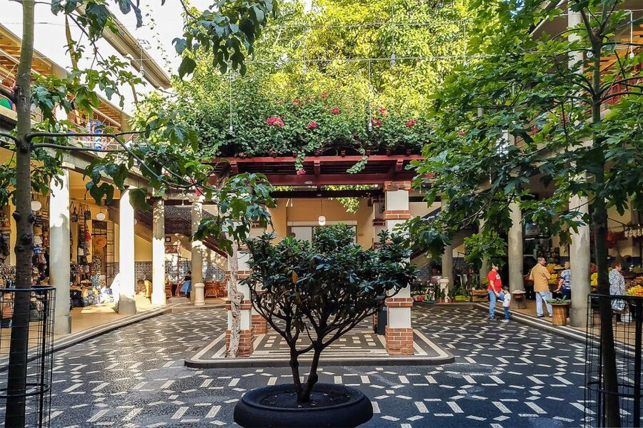 Funchal: Old Town Walking Tour - Municipal Garden, Madeira wine, and the final return