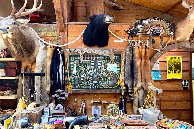Gem Mining and Goat Farm Walking Tour in Hendersonville - Who will enjoy this most