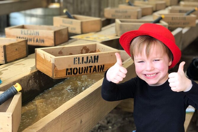 Gem Mining and Goat Farm Walking Tour in Hendersonville - How the mining flumes work