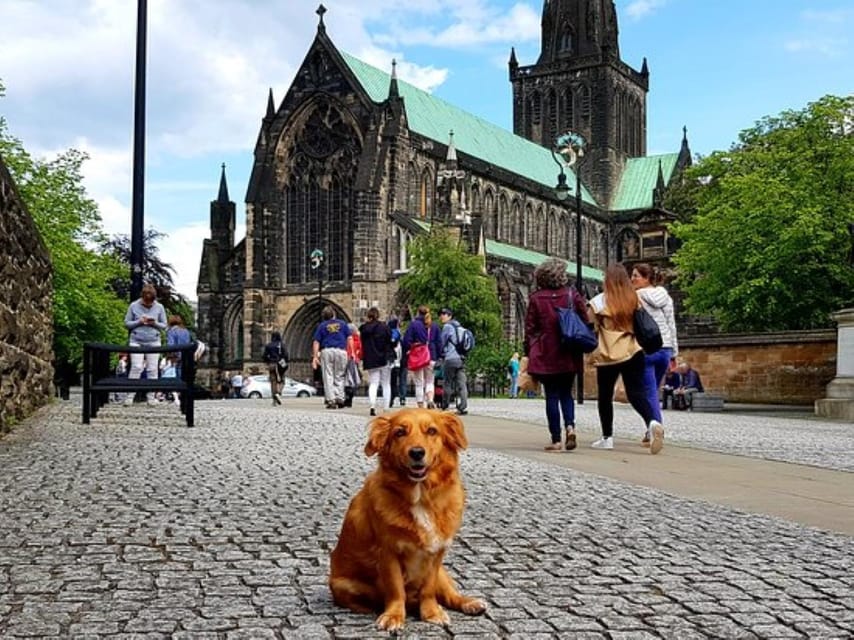 Glasgow: Gander Walking Tour - High Street, street art, and a fried Scottish recommendation