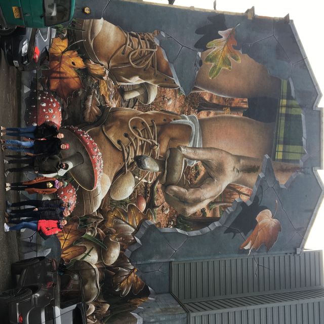 Glasgow: Street Art Guided Walking Tour - What the guides do best