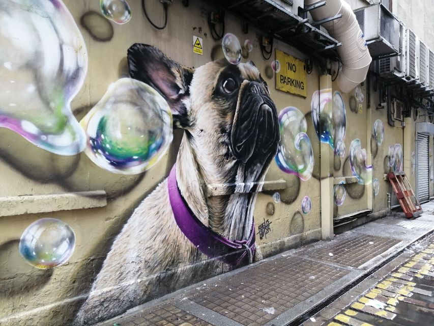 Glasgow: Street Art Guided Walking Tour - Who will get the most from this walk