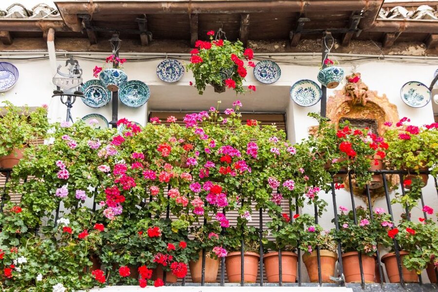 Granada: Albaicín and Sacromonte Walking Tour - Plaza Nueva and the first turn into Albaicín