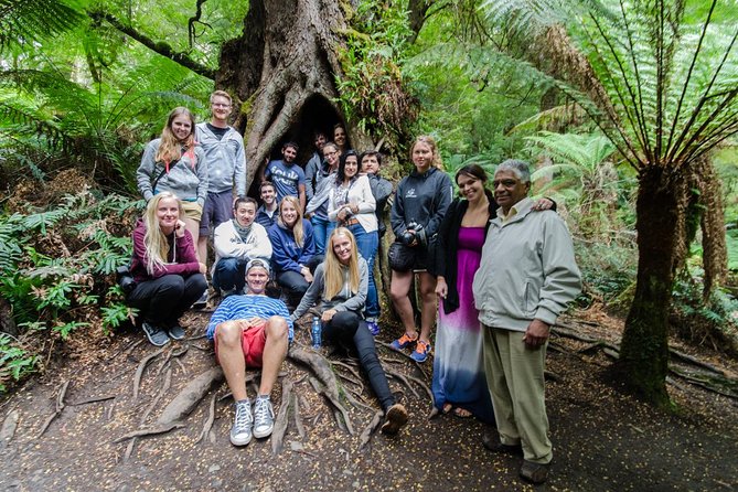Great Ocean Road 12 Apostles & Rainforest Walk with Morning Tea - Apollo Bay gives you a proper break
