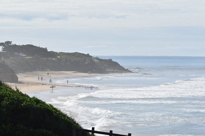 Great Ocean Road Tour Plus Koalas, Forest Walk and Morning Tea - Mait’s Rest turns the road trip into a forest walk