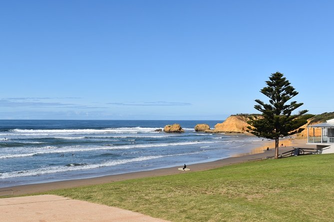 Great Ocean Road Tour Plus Koalas, Forest Walk and Morning Tea - The 12 Apostles are the day’s big payoff