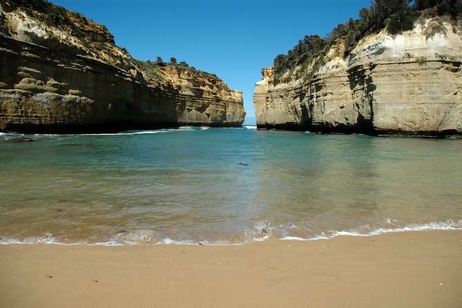 Great Ocean Road Tour Plus Koalas, Forest Walk and Morning Tea - Torquay, Bells Beach country, and the first coastal views