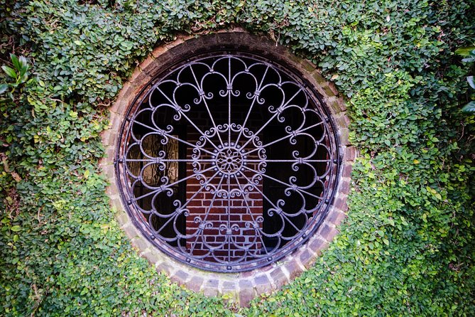 Highlights of Charleston Guided Walking Tour - The Pink House and Charleston’s visual character