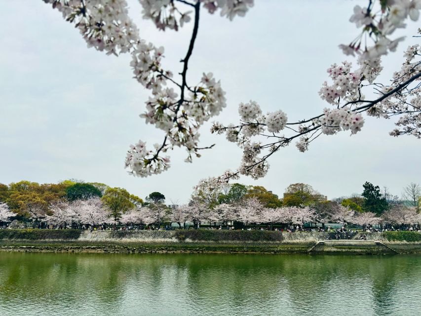 Hiroshima: History of Hiroshima Group Walking Tour - Key points to know before you book