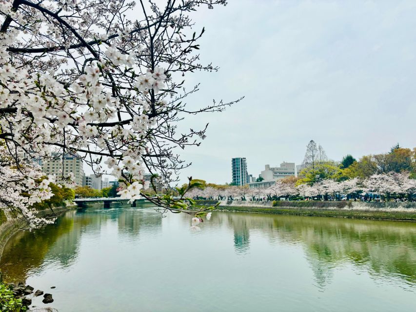 Hiroshima: History of Hiroshima Group Walking Tour - The Cenotaph and Flame of Peace