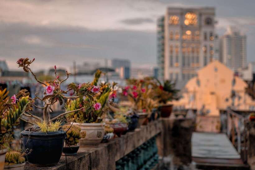 Ho Chi Minh City: Highlights & Hidden Gems Walking Tour - Is this 2.5-hour walk right for you?
