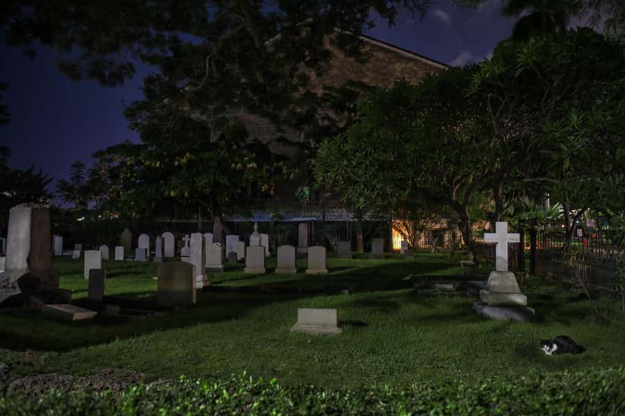 Honolulu Haunts: Ghosts and Spirits Walking Tour - Disease, Crimes of Passion, and the Darker Side of Paradise