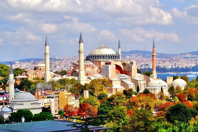 Istanbul Highlights Small-Group Walking Guided Tour - What the guides add