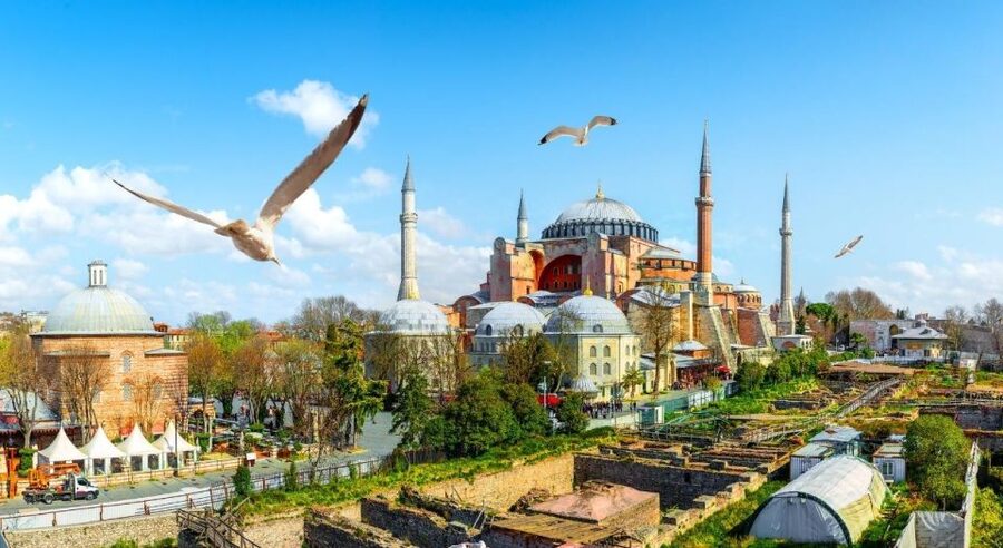 Istanbul: Private Guided Walking Tour - Blue Mosque: architecture and etiquette
