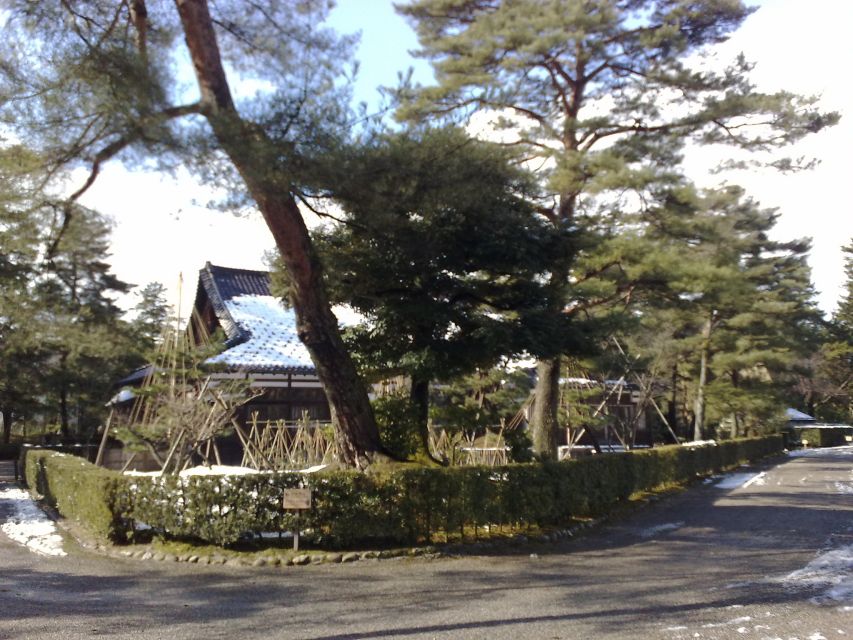 Kanazawa: Private Walking Tour with a Local - Omicho Market and the food side of Kanazawa