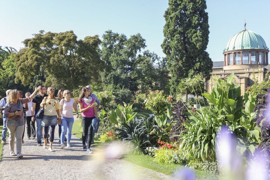 Karlsruhe: Guided City History & Culture Walking Tour - A city built from one ruler’s bold idea