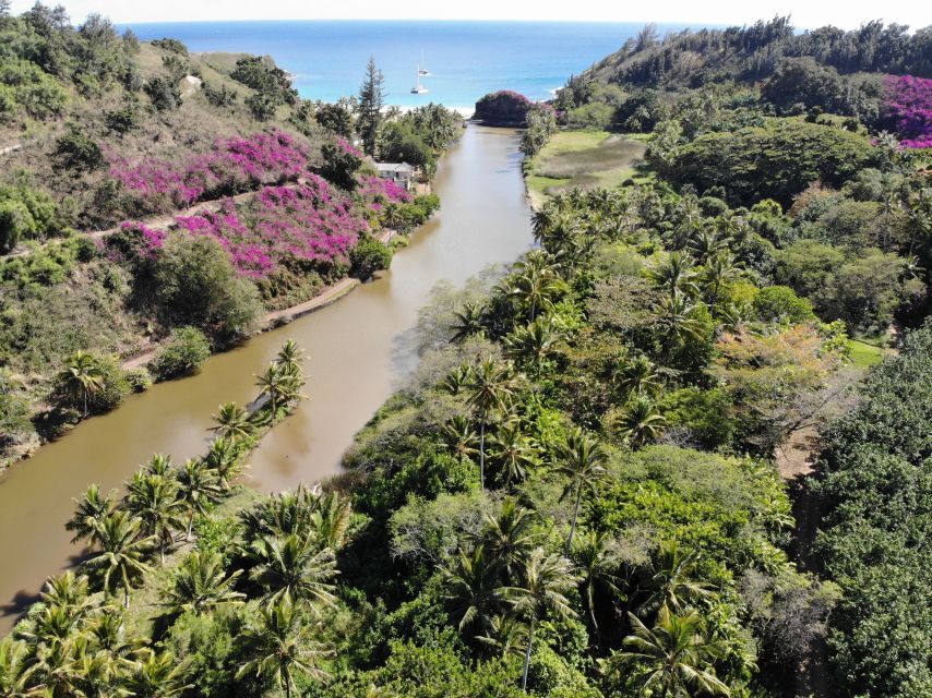 Kauai: Allerton Garden Guided Group Walking Tour - Key points to know before you go