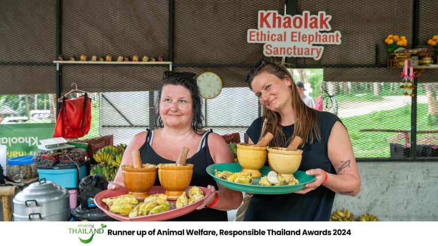 Khao Lak: 2-Hour Elephant Sanctuary Eco-Walk with Guided - Meeting rescued elephants without a riding show