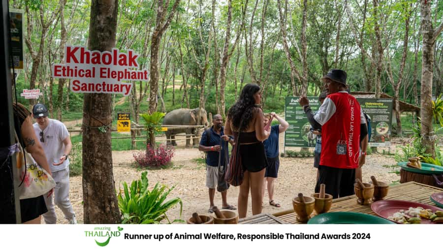 Khao Lak: 2-Hour Elephant Sanctuary Eco-Walk with Guided - What happens during the two-hour visit