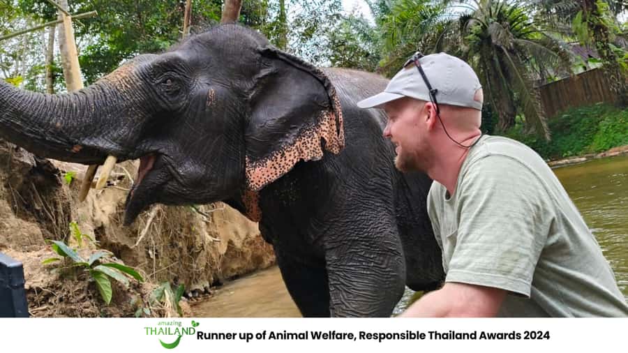 Khao Lak: 2-Hour Elephant Sanctuary Eco-Walk with Guided - Walking through the jungle at the elephants’ pace