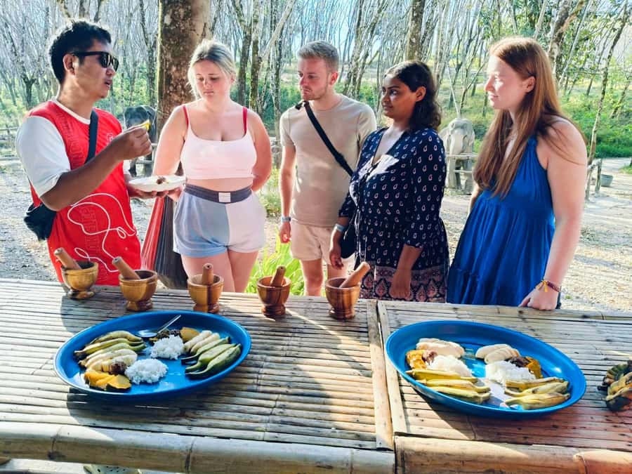 Khao Lak: 2-Hour Elephant Sanctuary Eco-Walk with Guided - Should you book it?