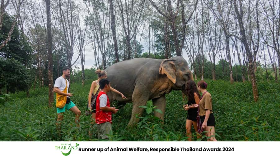 Khao Lak: 2-Hour Elephant Sanctuary Eco-Walk with Guided - Making herbal vitamin balls for the elephants