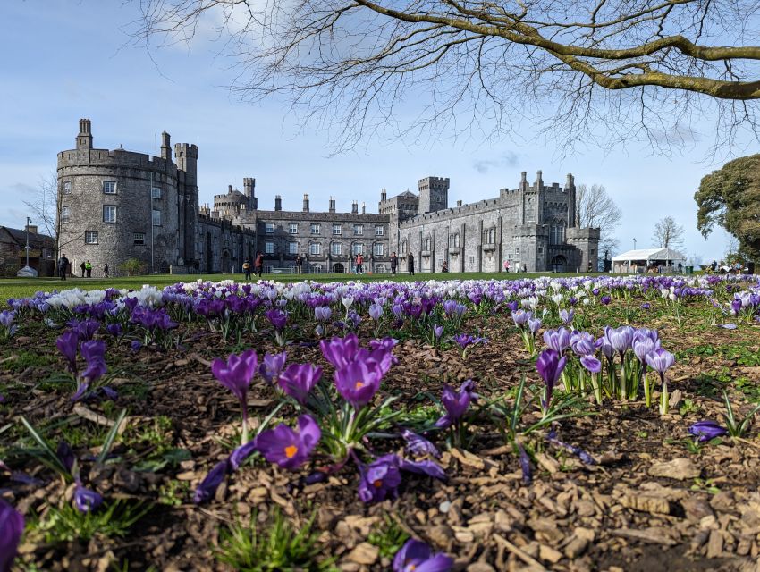 Kilkenny: Historical Highlights Walking Tour - Who should book this Kilkenny walk?