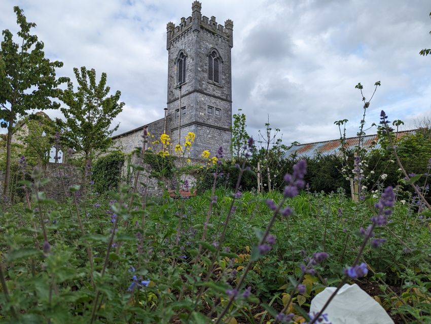 Kilkenny: Historical Highlights Walking Tour - What the $14 price really buys you