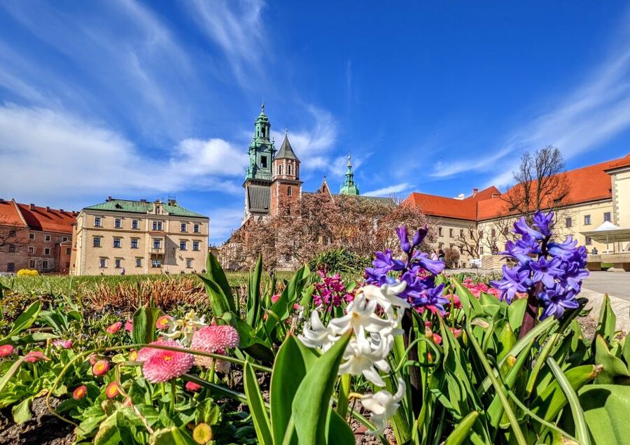 Kraków: Old Town & Wawel Castle Walking Tour in English - The Archbishop’s Palace and the papal window