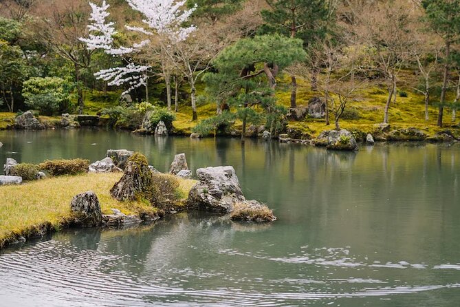Kyoto Arashiyama Walking Tour: Bamboo, Monkeys, Gardens & Secrets - Walking the Bamboo Forest without stopping there