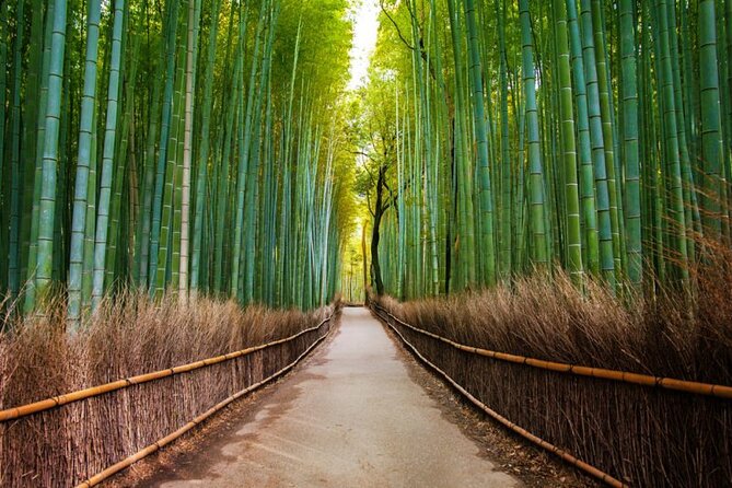 Kyoto Arashiyama Walking Tour: Bamboo, Monkeys, Gardens & Secrets - Monkey Park Iwatayama and the steepest part of the day