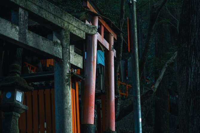 Kyoto Fushimi-Inari Night Walking Tour - Walking under thousands of vermilion gates