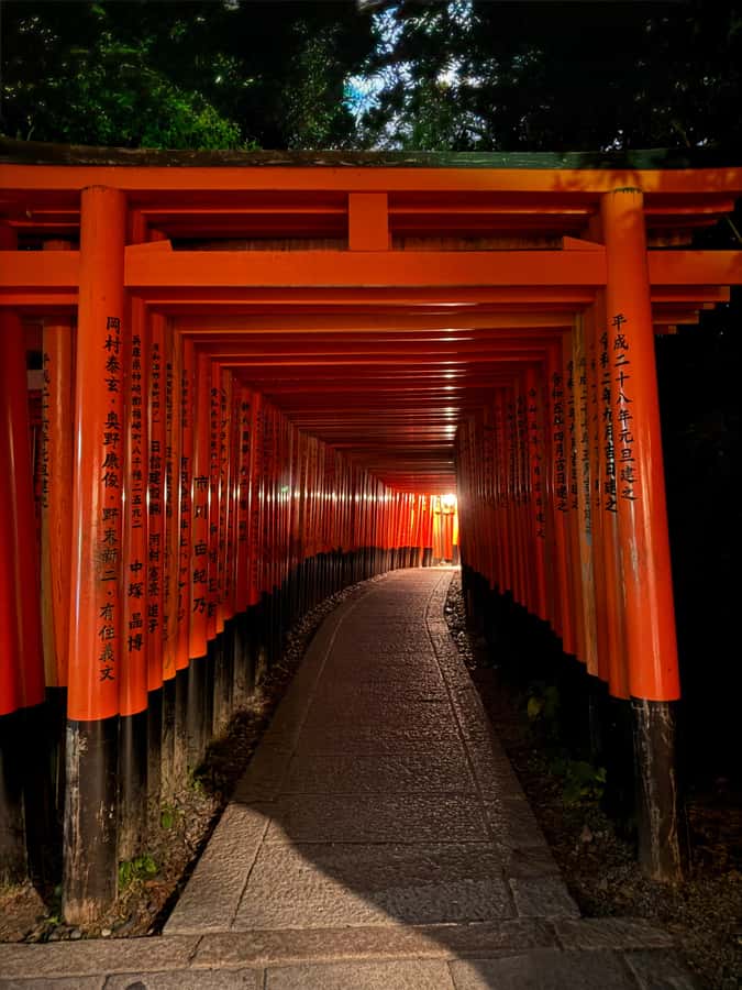 Kyoto Fushimi-Inari Night Walking Tour - Who should book this evening walk?