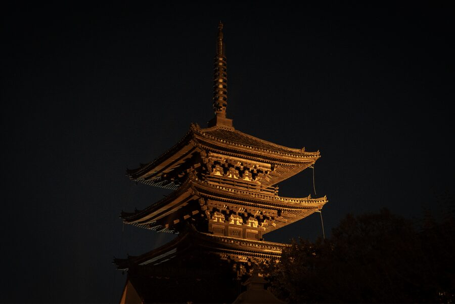 Kyoto: Izakaya Bars Guided Walking Tour - A few practical cautions before booking