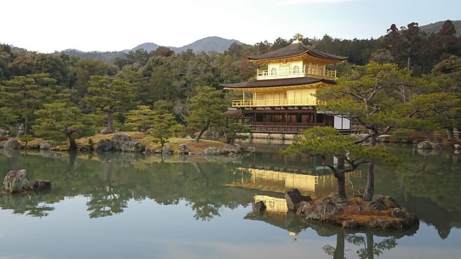 Kyoto: Private Walking Tour with a Local - Key points to know before booking