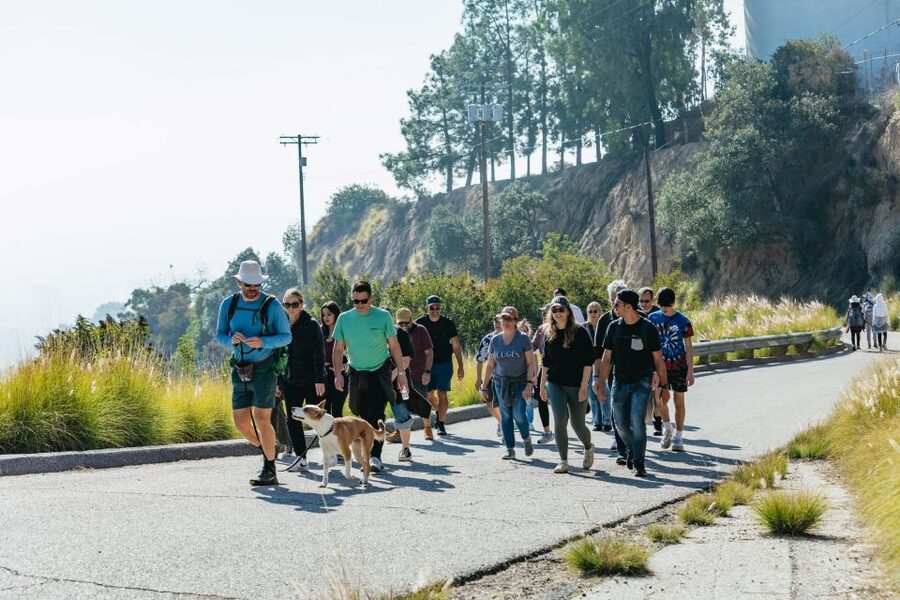 LA: Express Hollywood Sign Guided Walking Tour with Photos - Who Will Enjoy This Hollywood Sign Walk?