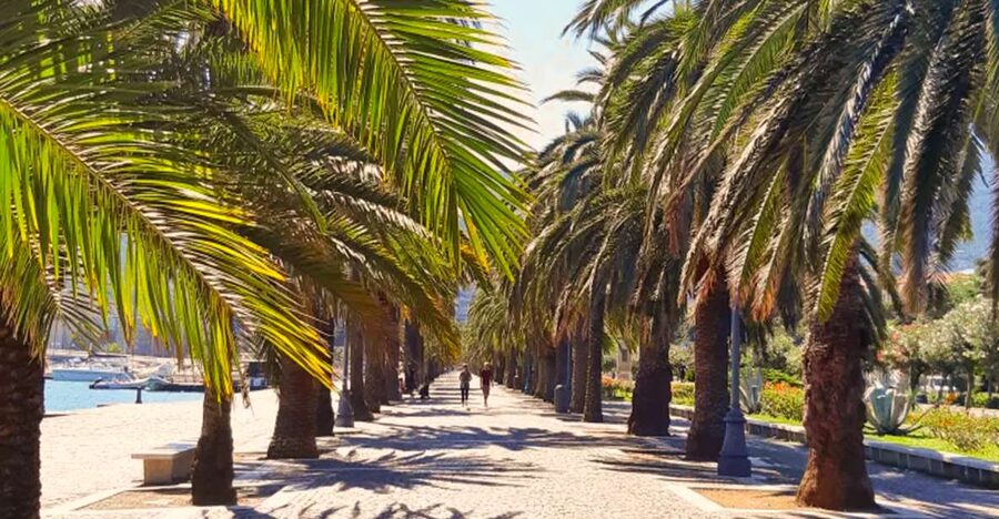 La Spezia: Guided Walking Tour with Italian-Inspired Music - Starting beside the palms and the harbor