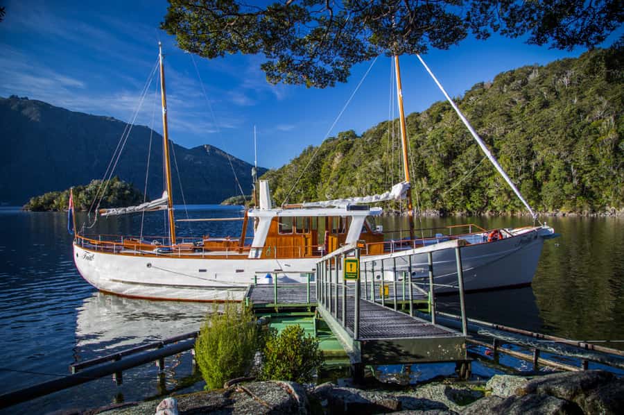 Lake Te Anau: 3-Hour Boat Cruise with Guided Walk - Who will enjoy Faith most?