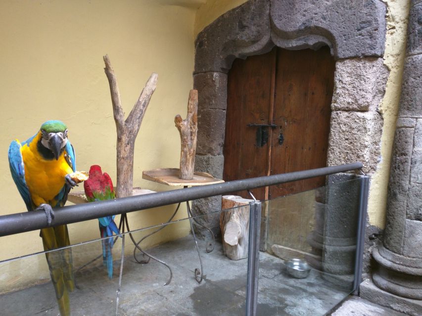 Las Palmas: Private Old City Guided Walking Tour with Tapas - Vegueta’s colonial streets and major landmarks