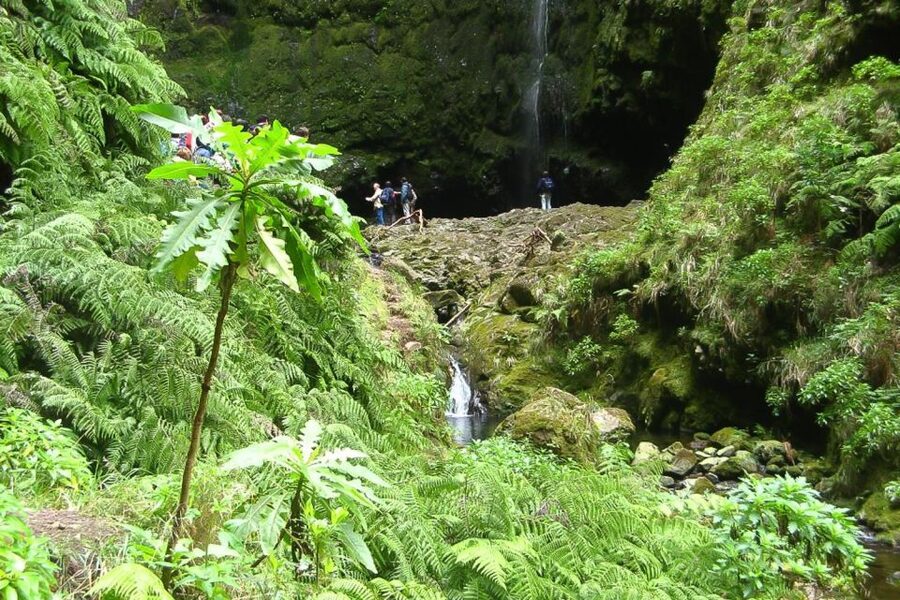 Levada Walk and Caldeirao Verde Waterfalls: Madeira - Key points to know before booking