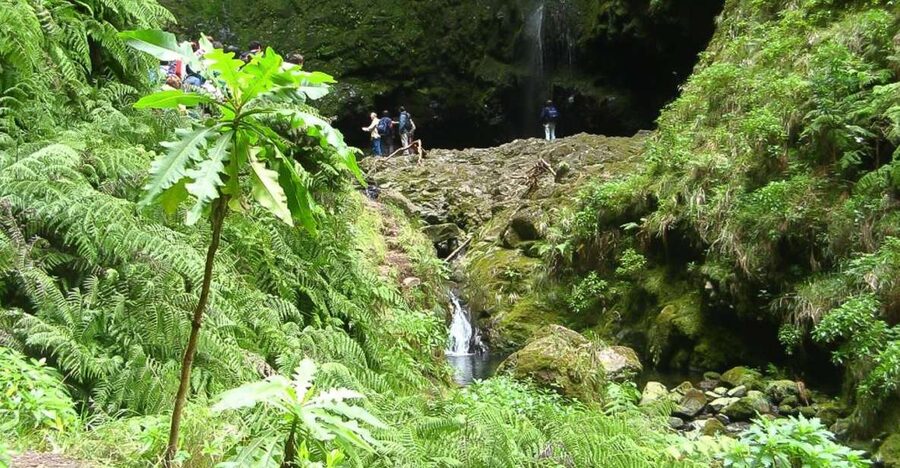 Levada Walk and Caldeirao Verde Waterfalls: Madeira - Starting among Madeira’s old water channels