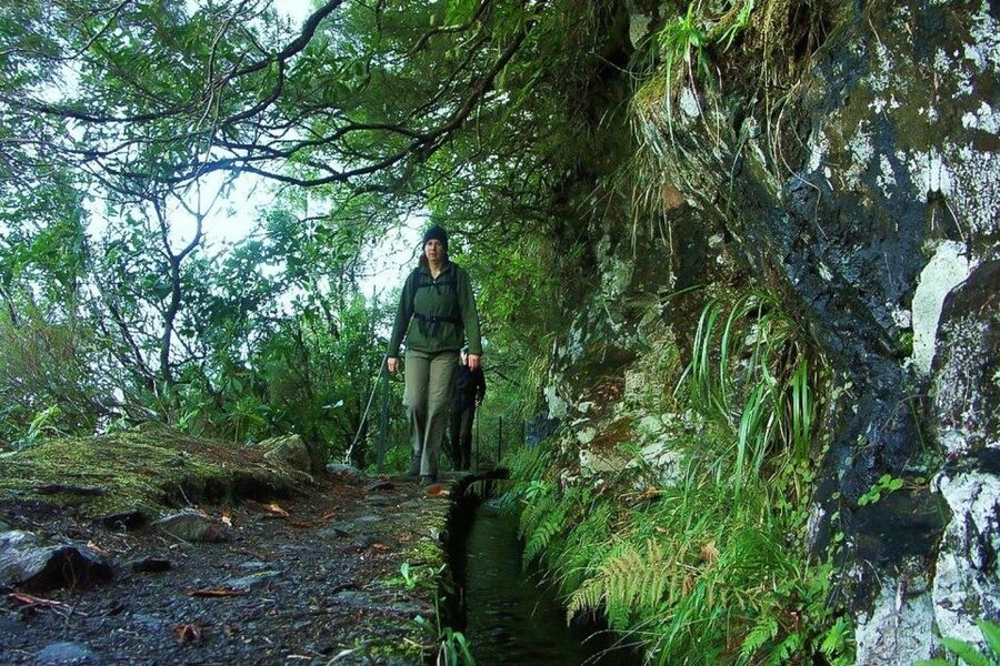 Levada Walk and Caldeirao Verde Waterfalls: Madeira - Tunnels, dripping rock, and careful footing