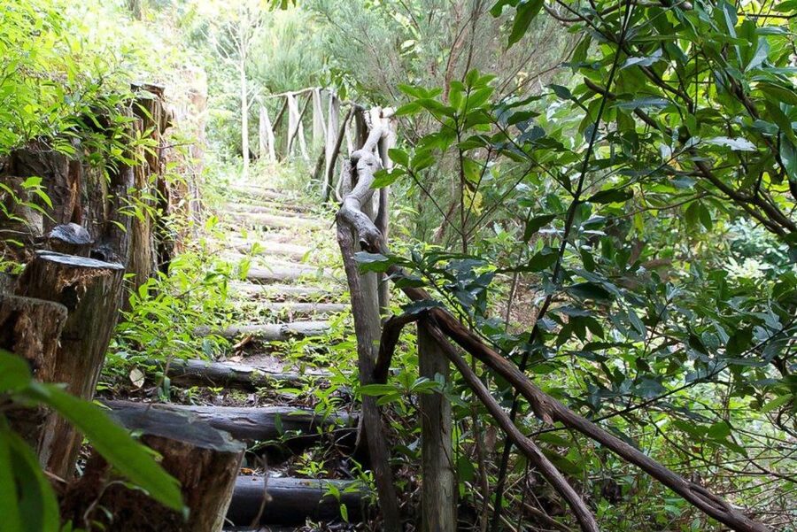 Levada Walk and Caldeirao Verde Waterfalls: Madeira - Weather and equipment can change the day