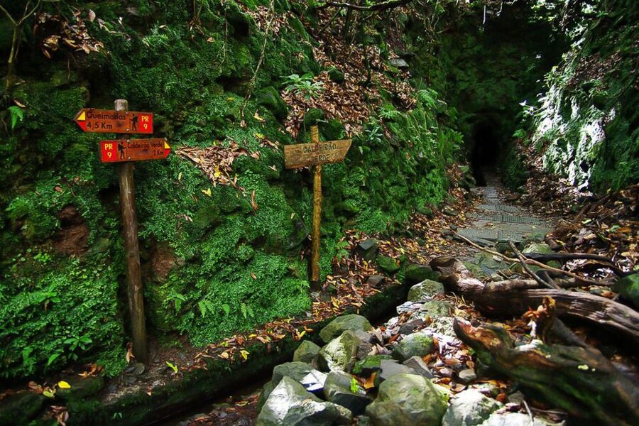 Levada Walk and Caldeirao Verde Waterfalls: Madeira - Is $46 good value?