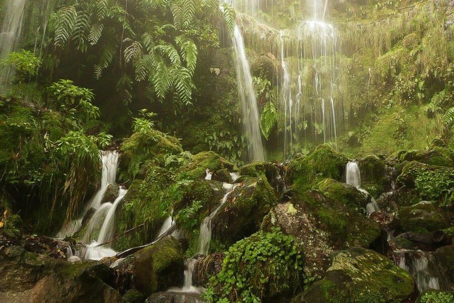 Levada Walk and Caldeirao Verde Waterfalls: Madeira - The forest gives way to open views